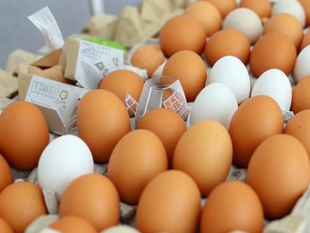Яичные новости: цены на яйца в России упали на 0,14%