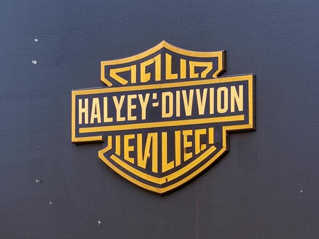 Harley-Davidson снижает чистую прибыль и выручку в первом кв...